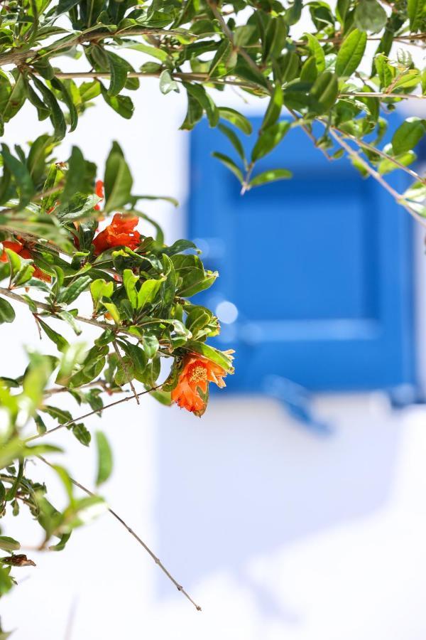 Mykonos TownMykonos In White别墅 外观 照片